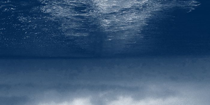 Bild zu „ÜBERSEE“