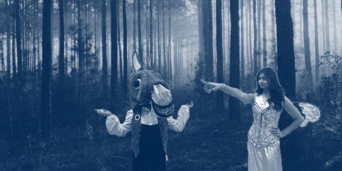 Bild zu „Midsummer Night’s Dream“