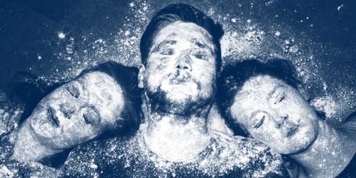 Bild zu „Die Eisvögel“